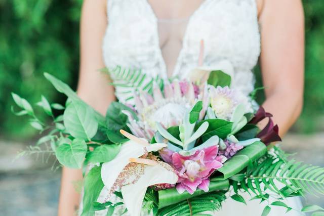 Sublime Stems