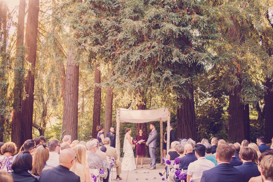 Chuppah at piedmont community