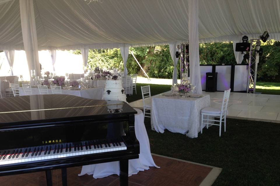 A wedding reception right on the shore of the Hudson River at the historic Clermont Estate in Germantown, NY.  A grand piano for dinner music and notice the sweetheart table in the center of the room.  Who says it has to be at one side?!  Once the sun went down this party went crazy!