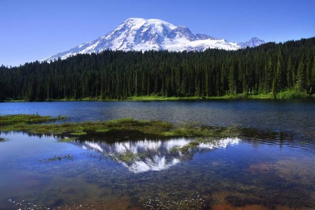 Alexander's Country Inn at Mount Rainier - Hotel Weddings - Ashford, WA ...