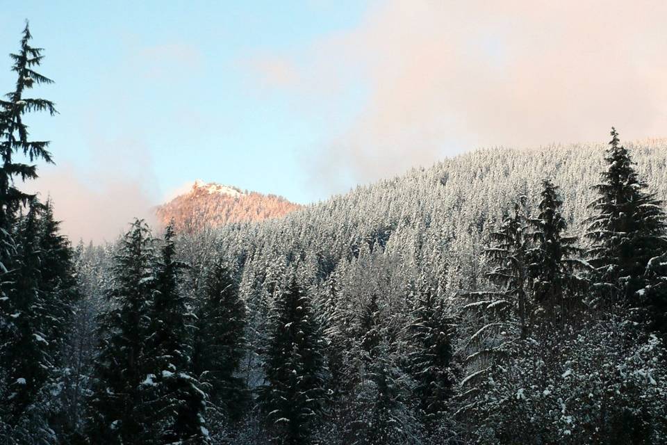 Alexander's Country Inn at Mount Rainier