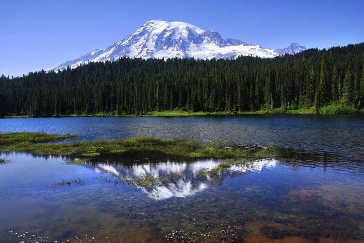 Beautiful Mount Rainier National Park