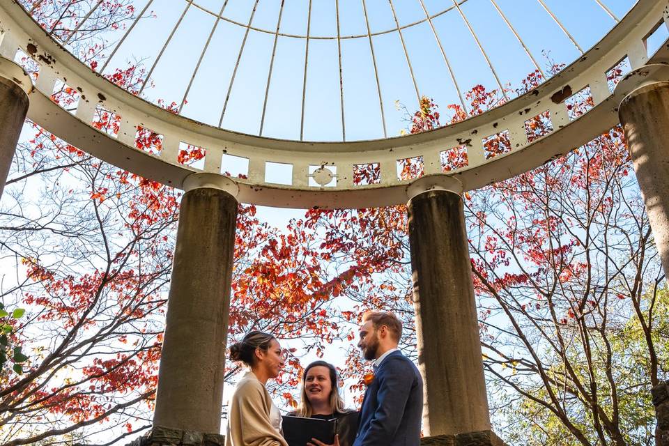 C + a under the gazebo