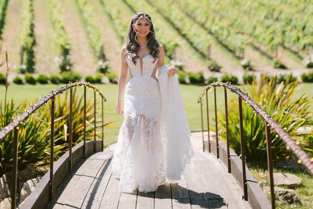 Vineyard Backdrop