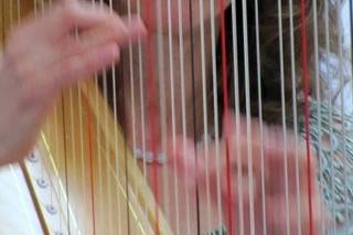 Rebecca Foreman Harpist