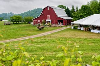 Tiger Mountain Vineyards