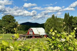 Tiger Mountain Vineyards