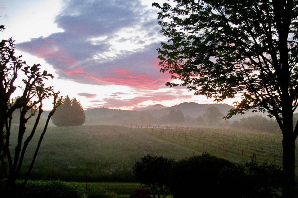 Tiger Mountain Vineyards