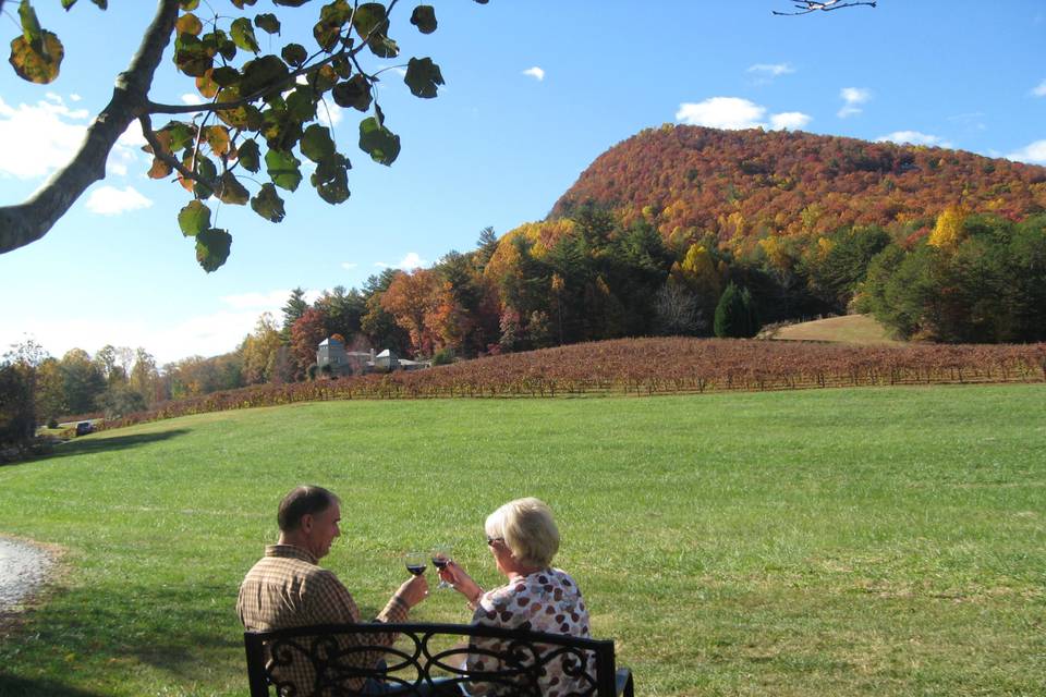 Tiger Mountain Vineyards