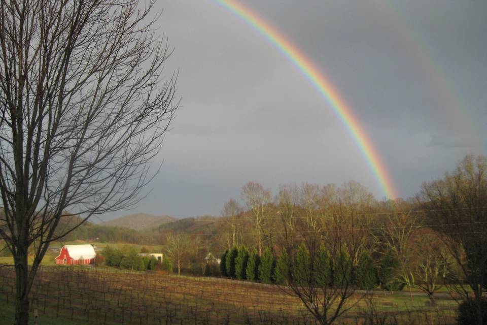 Tiger Mountain Vineyards