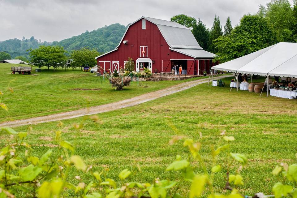 Tiger Mountain Vineyards