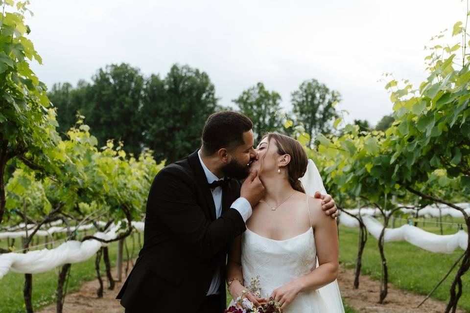 Bride and groom in vineyard