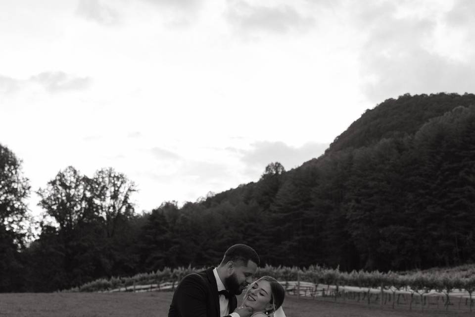 Bride and groom in vineyard