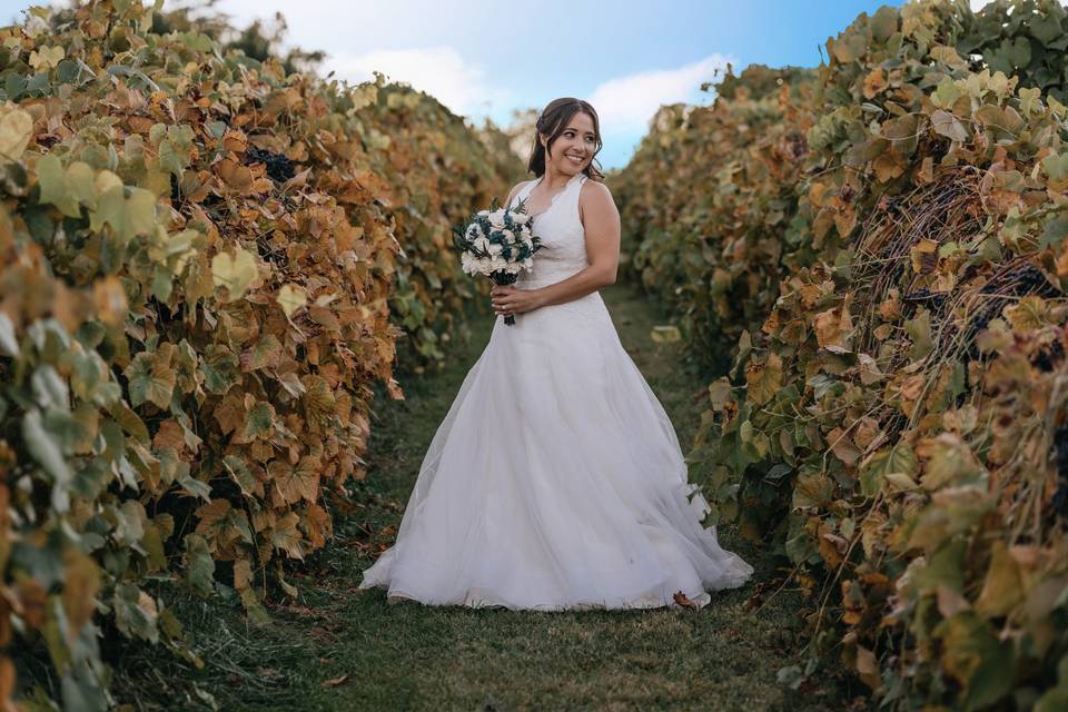 Bride in vineyard