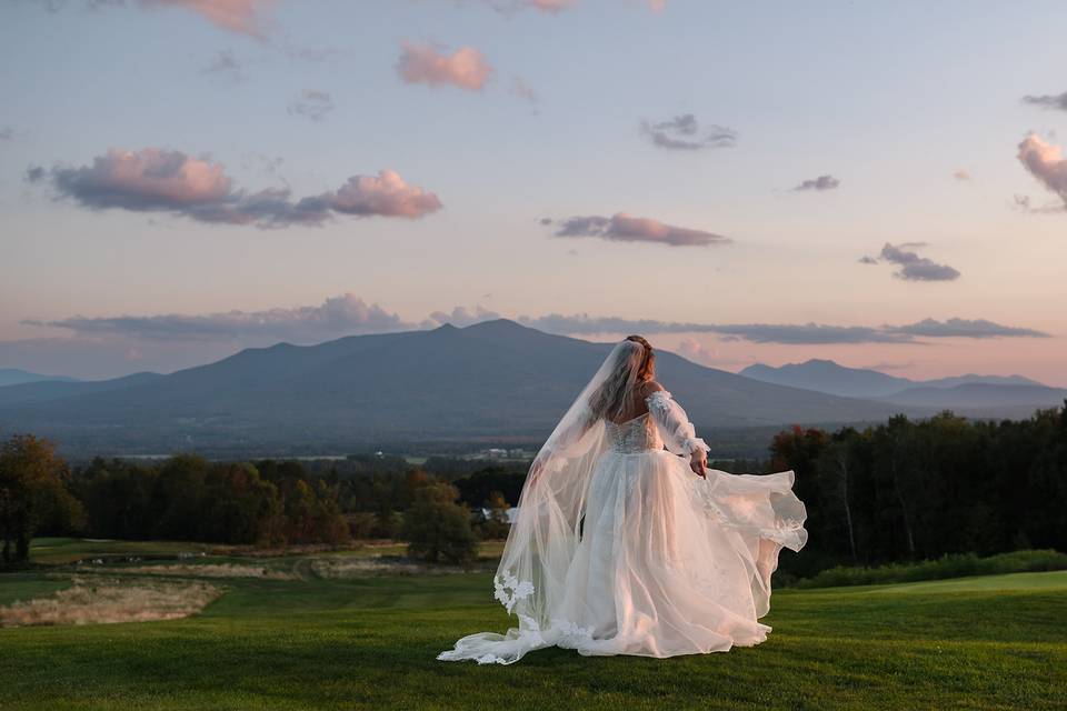 Johanna Sorrell Photography