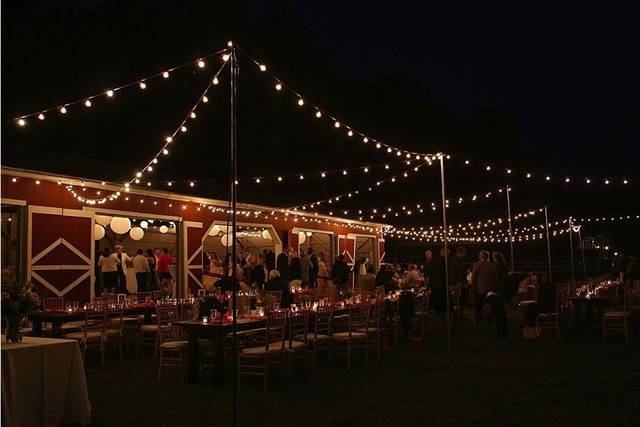 Bistro lights