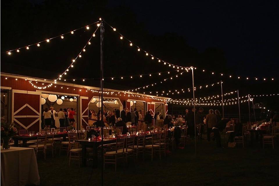 Bistro lights