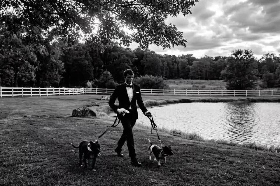 Walk by pond