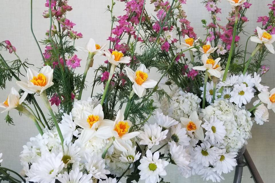 White and pink flowers
