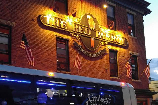 Red Parrot