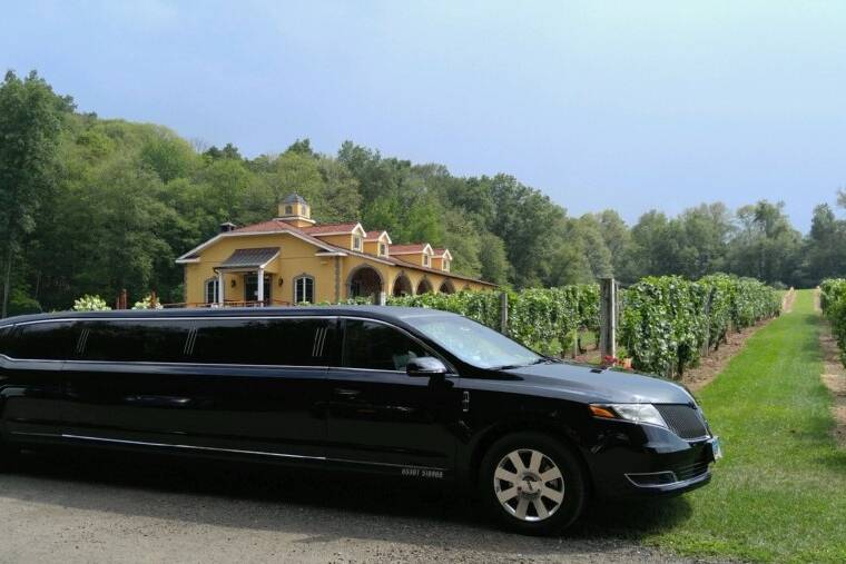 Stretch Limousine (6-8 Pas)
