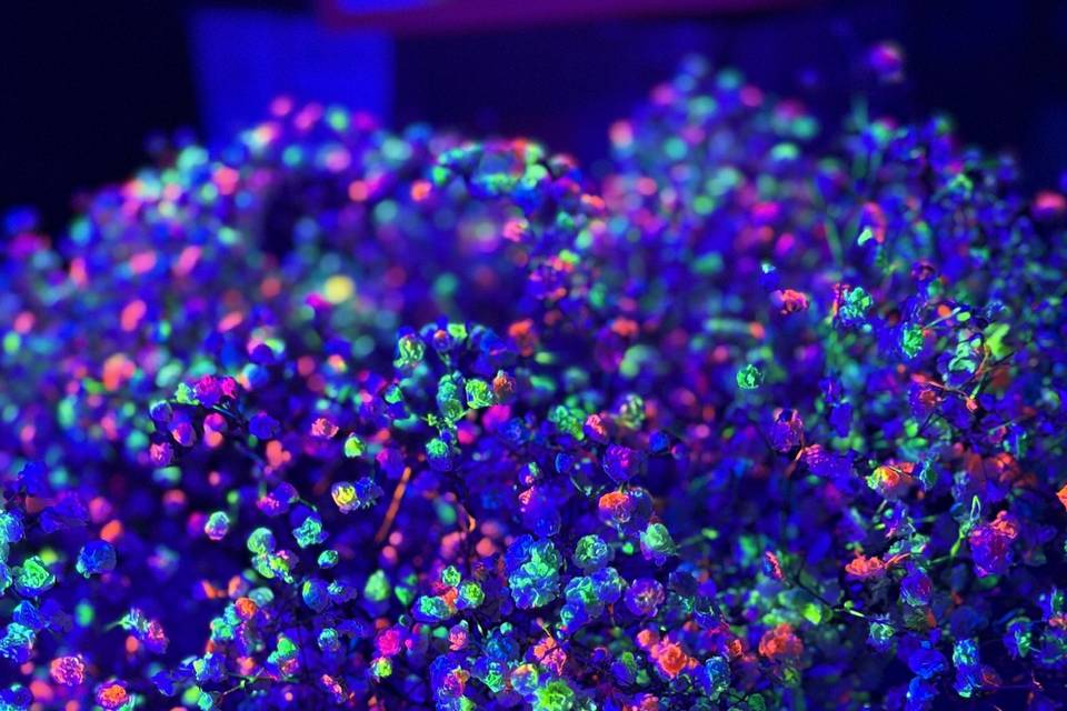 UV Neon Splattered Flowers
