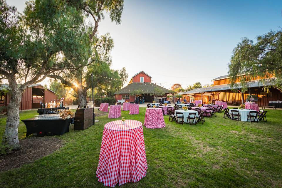 Barn Lawn