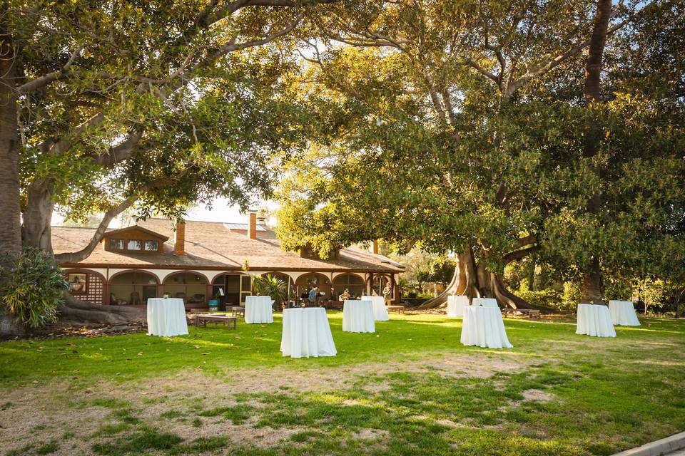 Front Lawn