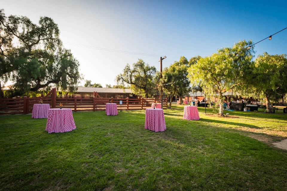 Barn Lawn