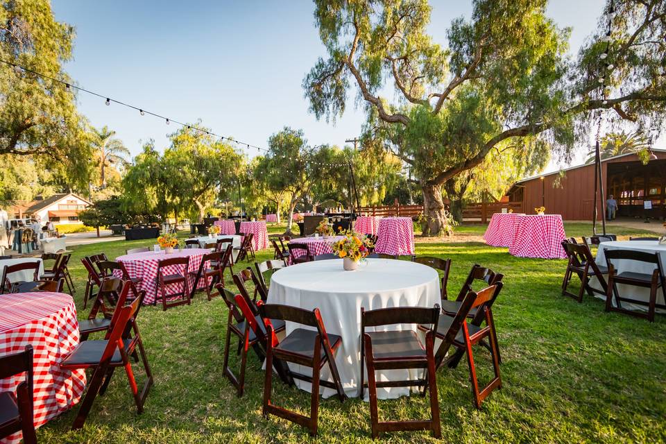 Barn Lawn