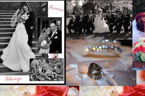 Sandra Shaffer Photography
