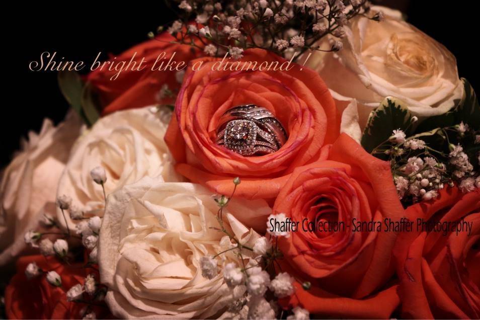 Sandra Shaffer Photography