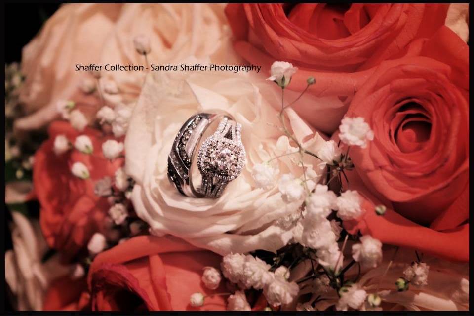 Sandra Shaffer Photography