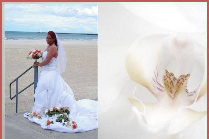 Sandra Shaffer Photography