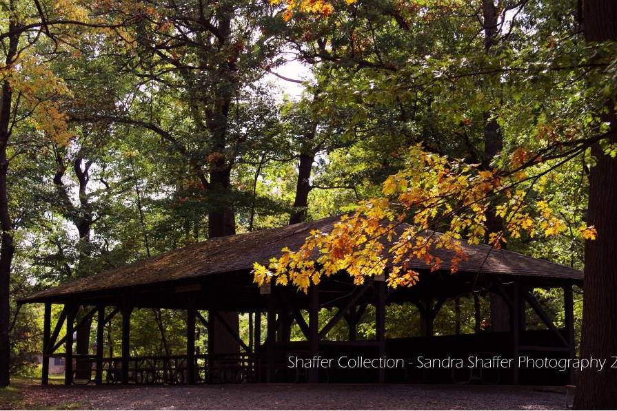 Sandra Shaffer Photography