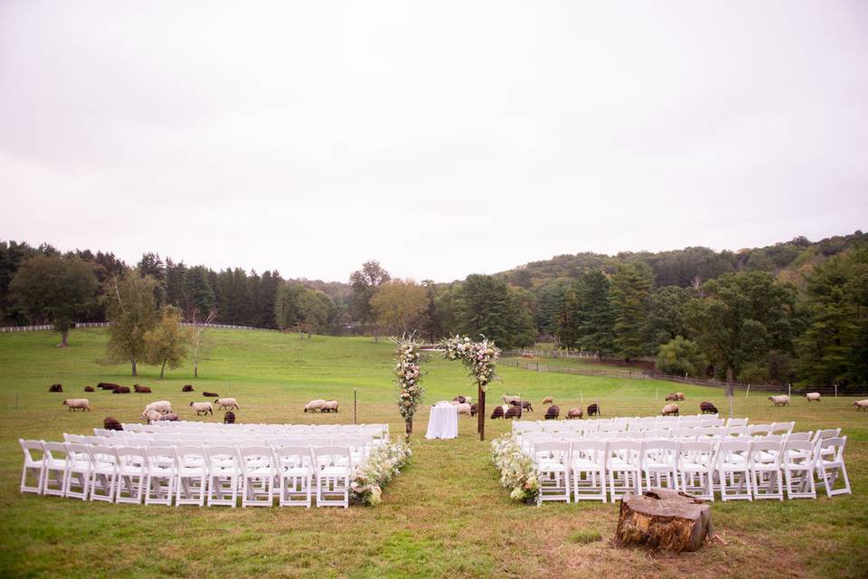 CT Backyard Wedding