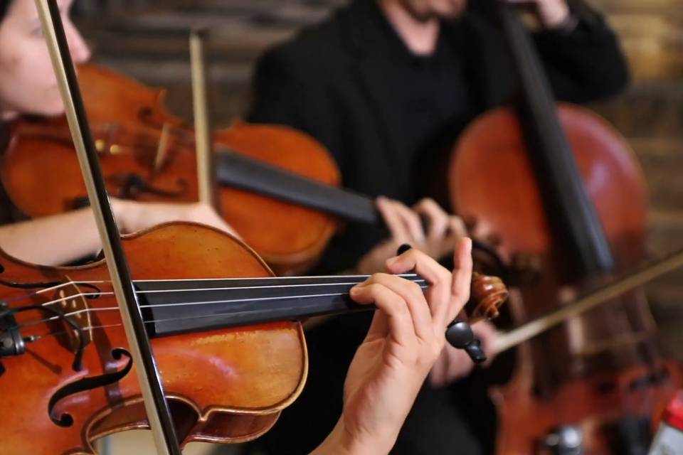 Trio at Catedral de Mayaguez