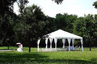 Marquee Event Rentals