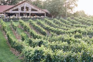 The Vineyard at High Holly