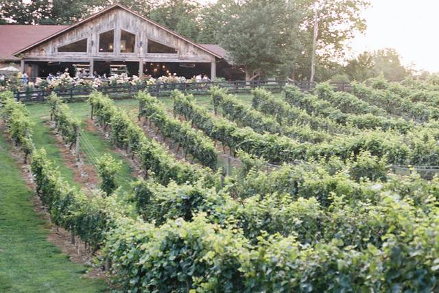 The Vineyard at High Holly