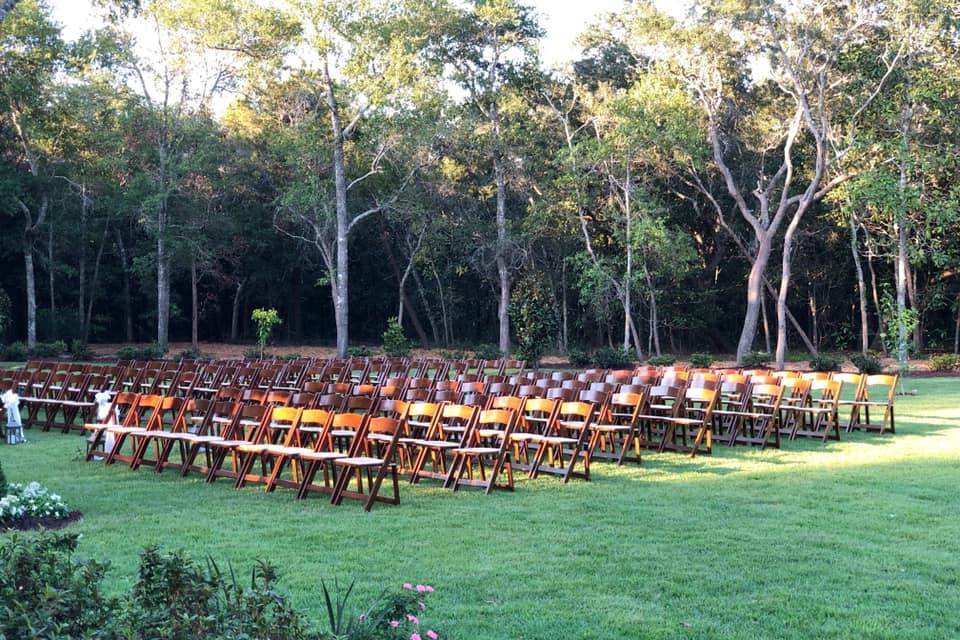 Fruitwood Chairs