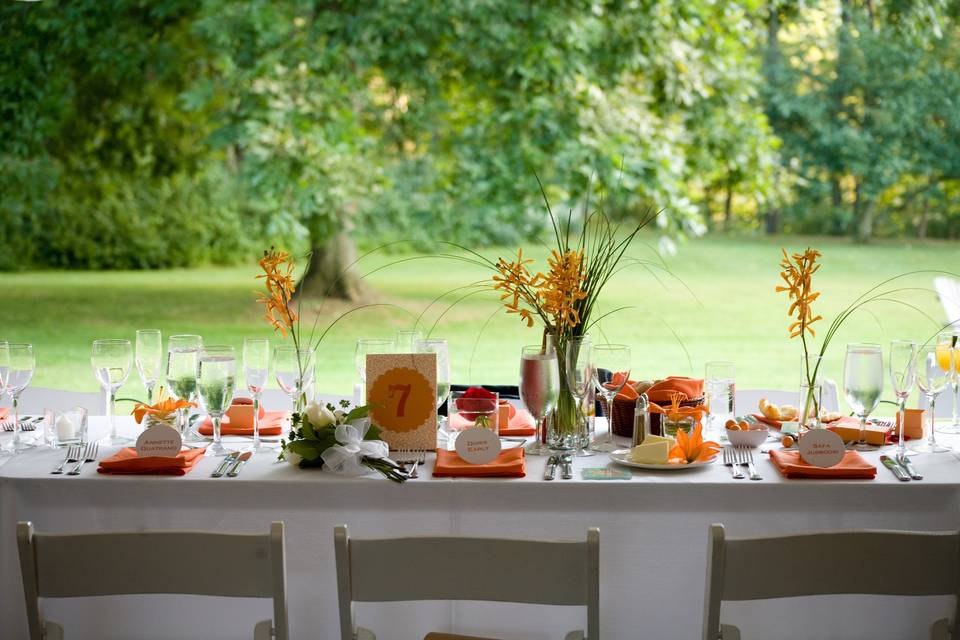 Table setup with centerpiece