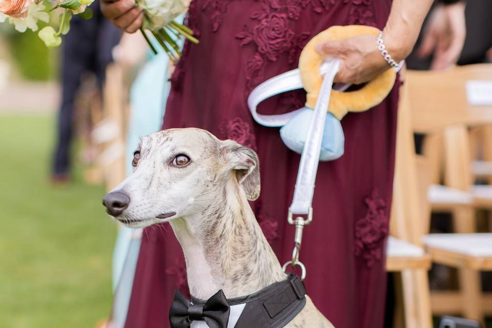 Lodge Torrey Pines Wedding