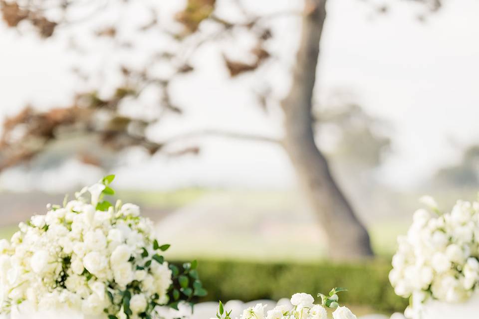 Lodge Torrey Pines Wedding