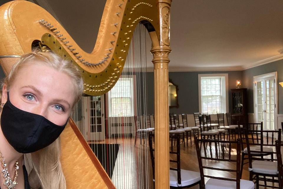 The Gilded Harps