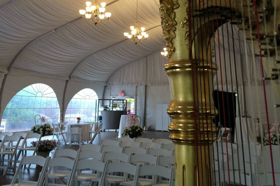 Concert Harp in Tent