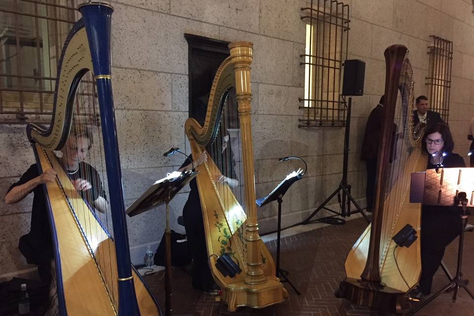 The Gilded Harps