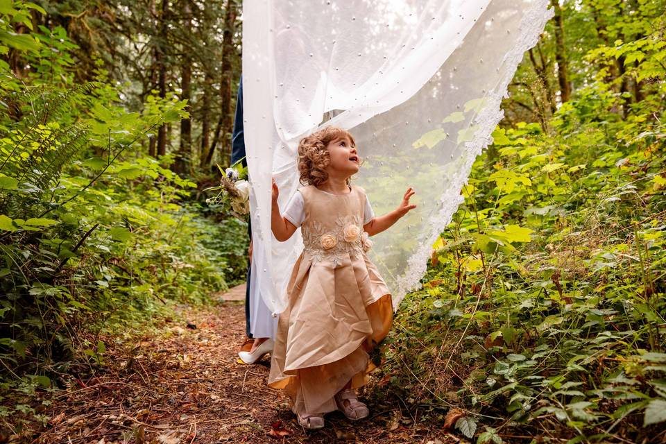 Index Wedding