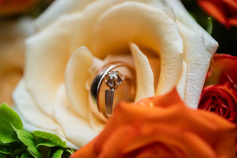Wedding Ring Closeups