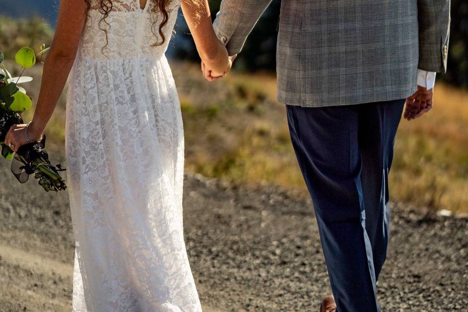 Hurricane Ridge Elopement
